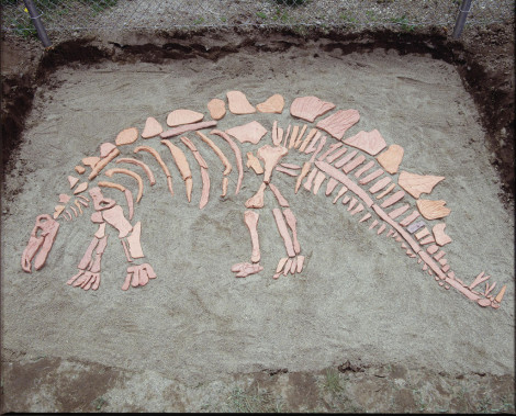 Dig This! Dinosaur Bones Sculpture