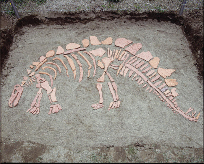 Dig This! Dinosaur Bones Sculpture