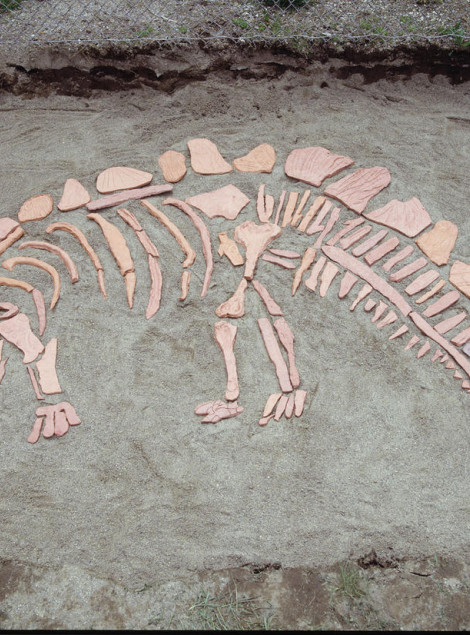 Dig This! Dinosaur Bones Sculpture