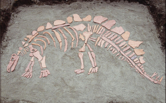 Dig This! Dinosaur Bones Sculpture