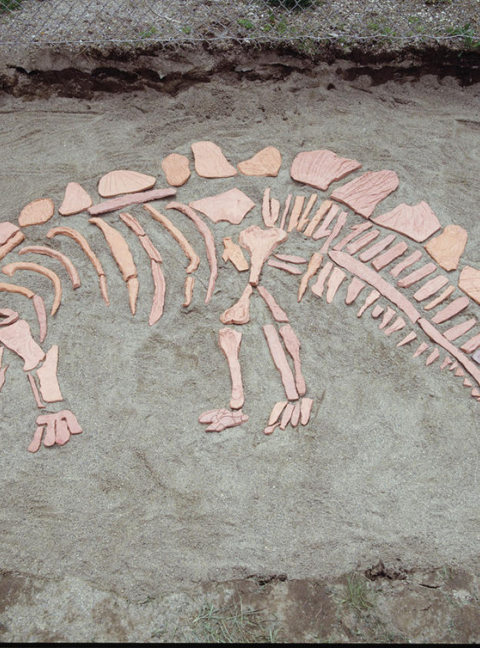 Dig This! Dinosaur Bones Sculpture