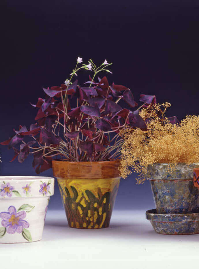 A Passion for Pots