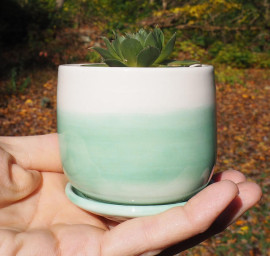 medium_green_and_white_small