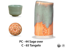 medium_PC-44overC-65_Tangelo_WEB27