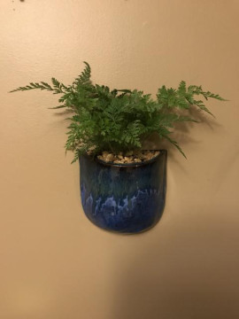 medium_95CD3641-D182-4568-A50F-83335B30109F