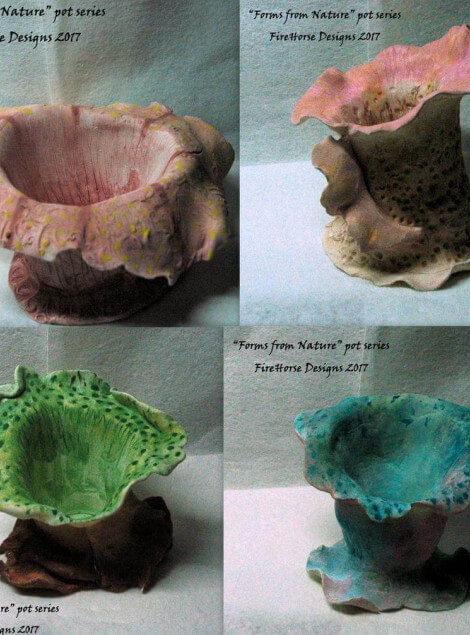large_Forms_from_Nature_Collage