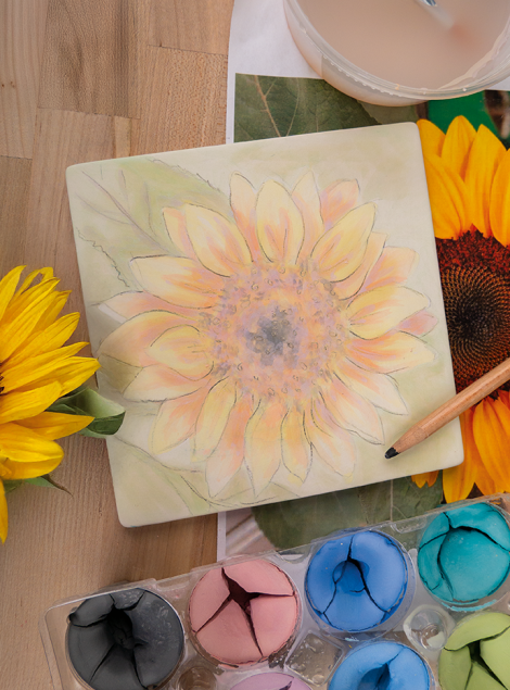 PlantStudies_HeaderImage_WebsiteTemplate